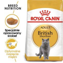 Royal Canin Feline Royal Canin British Shorthair Adult karma sucha dla kotów dorosłych rasy brytyjski krótkowłosy 4kg